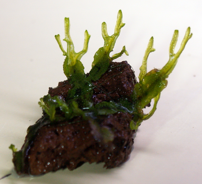 P9284907-1.jpg