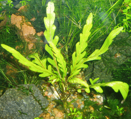 P1010178.JPG