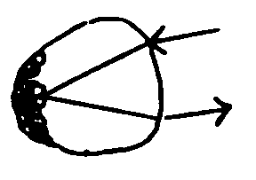 linz.gif