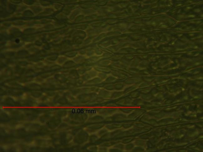 600.jpg