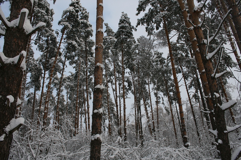 IMG_9316.jpg