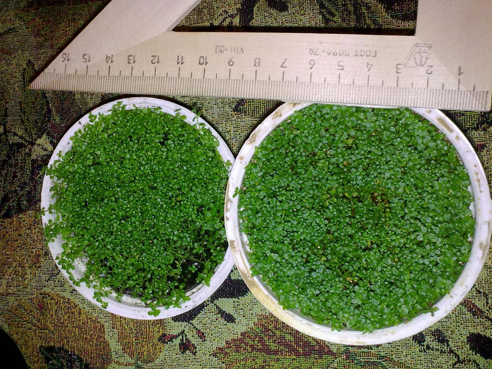 05022011486.jpg