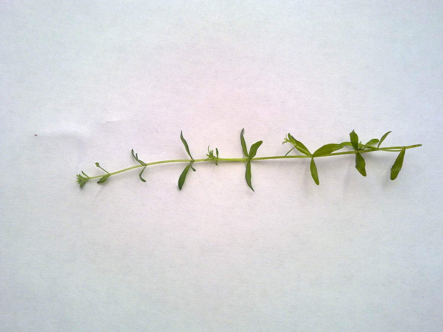 Resize of 23022011619.jpg