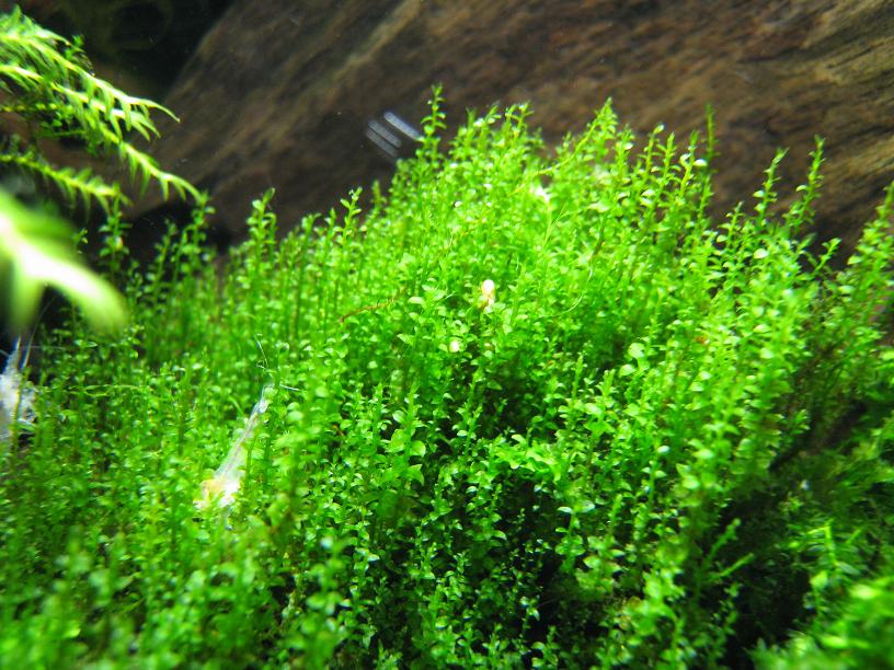 IMG_0004.jpg