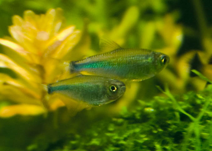CRW_5494.jpg
