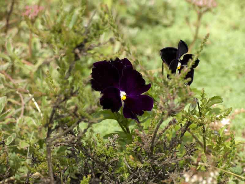 CRW_5527.jpg