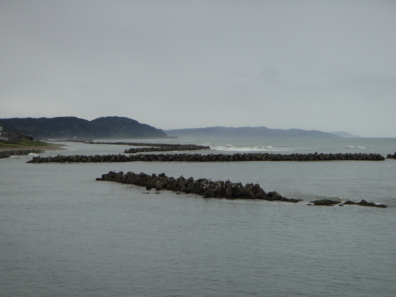 DSC01903.JPG