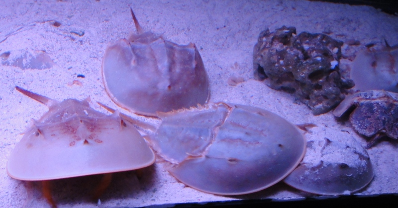 DSC01915.JPG