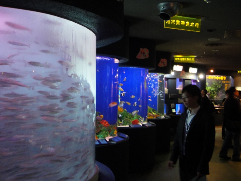 DSC01921.JPG