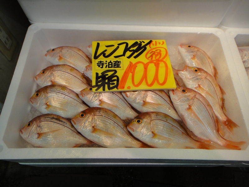 DSC01977.JPG