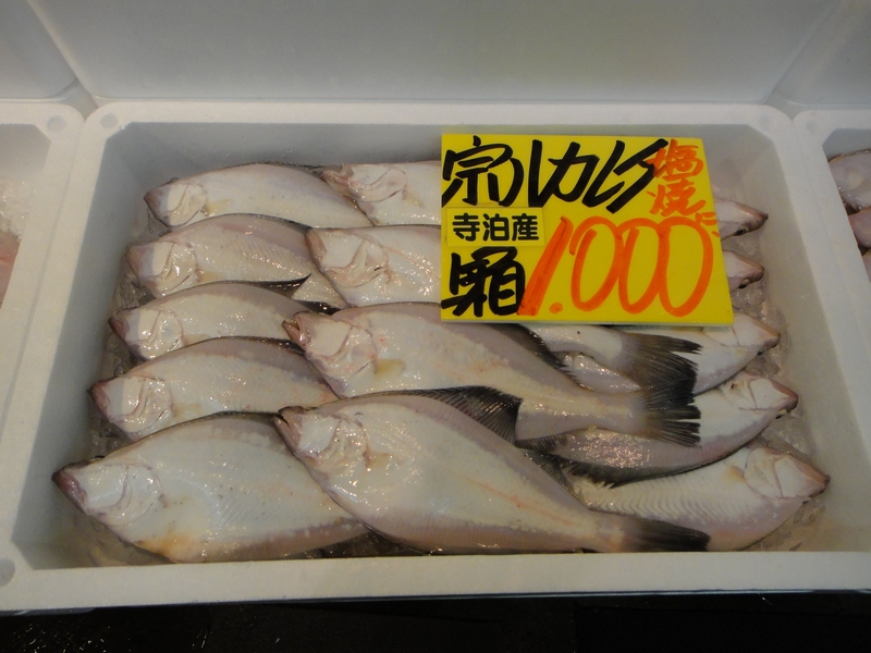 DSC01978.JPG