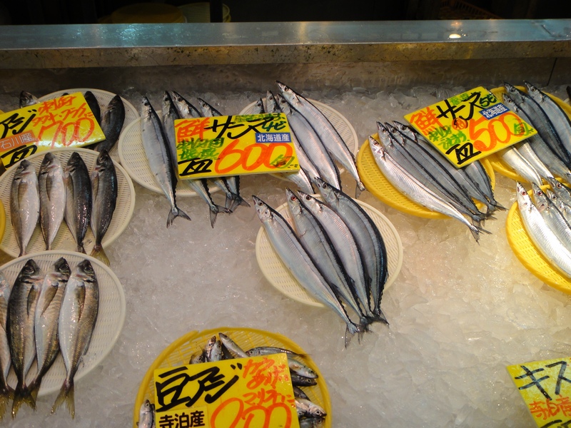 DSC01979.JPG