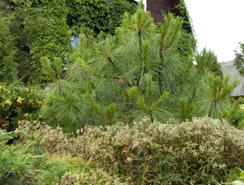 CRW_5552.jpg