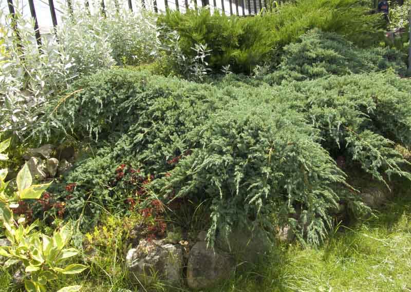 CRW_5541.jpg