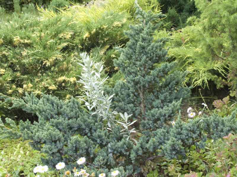 CRW_5556.jpg