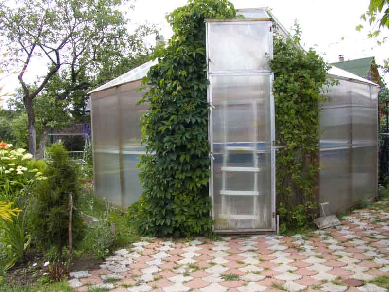 CRW_5510.jpg