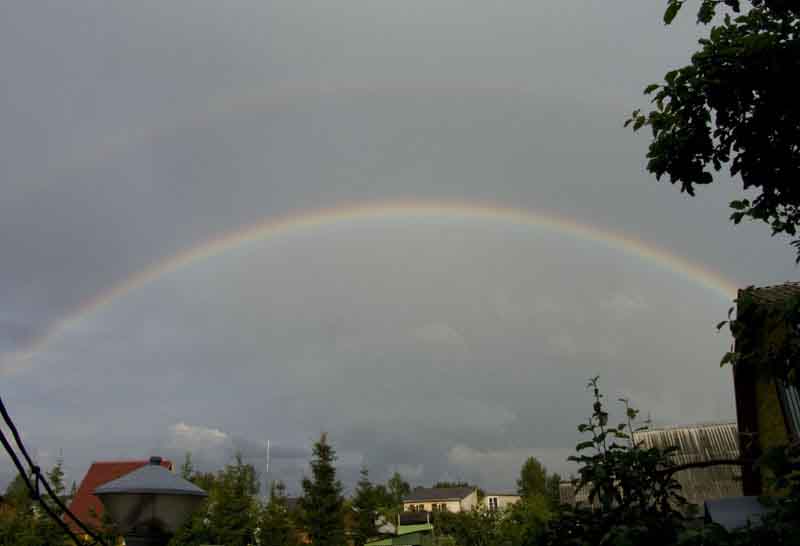 CRW_5572.jpg