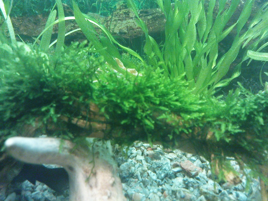 DSC02.jpg