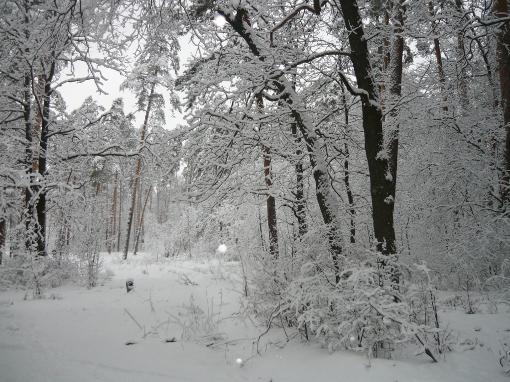 P1050635.JPG