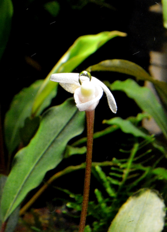 DSC_0032.jpg