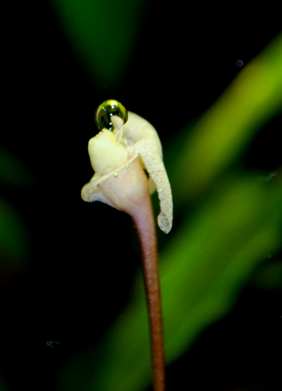 DSC_0025.jpg