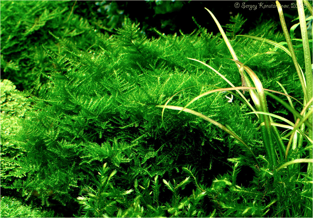 DSC_3889.jpg