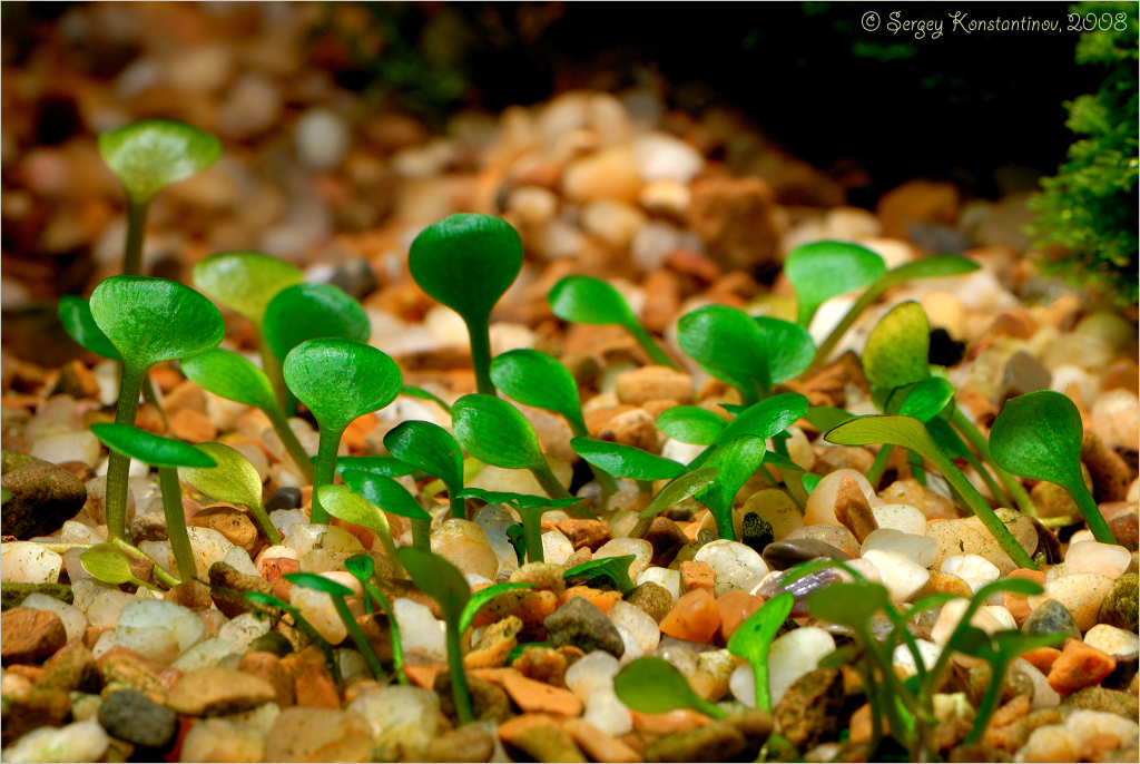 DSC_4049 _c.jpg