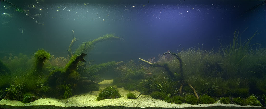CRW_6531-1024.jpg