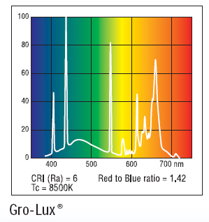 GroLux.jpg