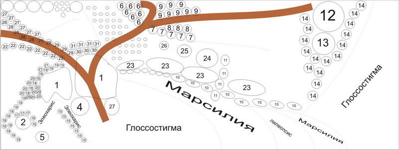 Graphic1.jpg