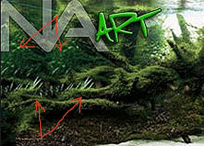 Snap12a.jpg