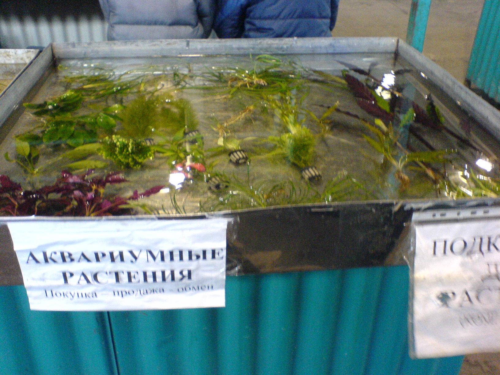 DSC00197.JPG