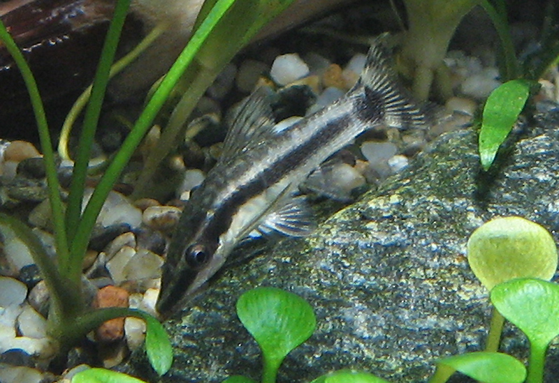 oto2.JPG