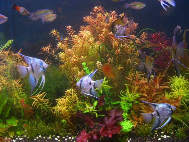 62cd9fb420d3.jpg
