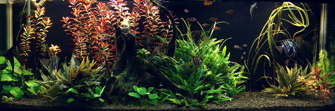 300L